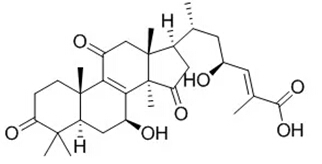 5e23cc6055358.jpg 12.jpg