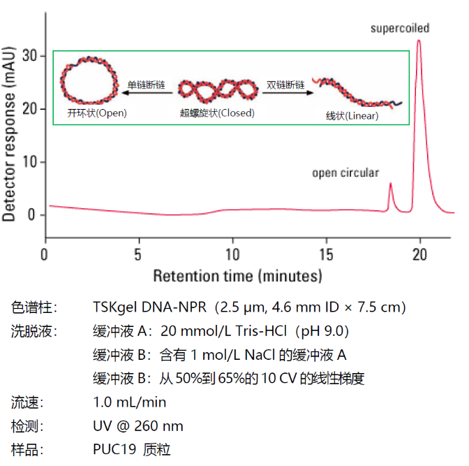 5fbccb1592f99.png 1.png